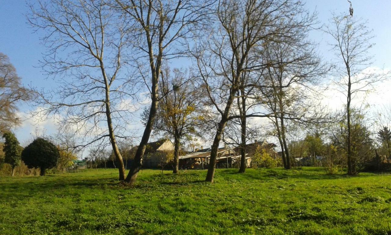 Bochmann Cottage Zalaszanto Екстериор снимка